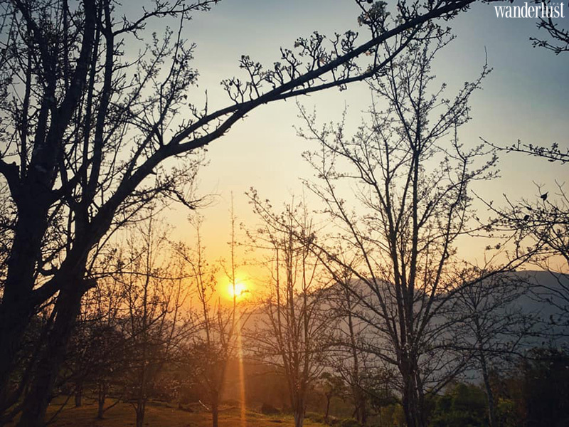 Hồng Thái đẹp dịu dàng mùa hoa lê trắng | Wanderlust Tips