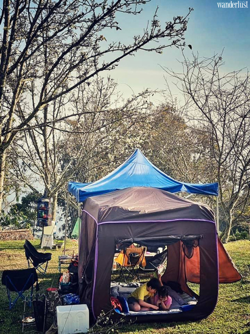 Hong thai dep diu dang mua hoa le trang 9