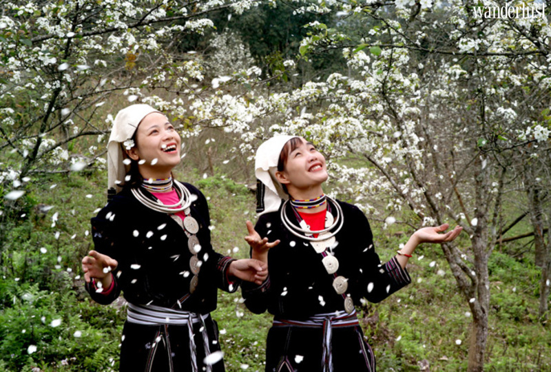 Hồng Thái đẹp dịu dàng mùa hoa lê trắng | Wanderlust Tips