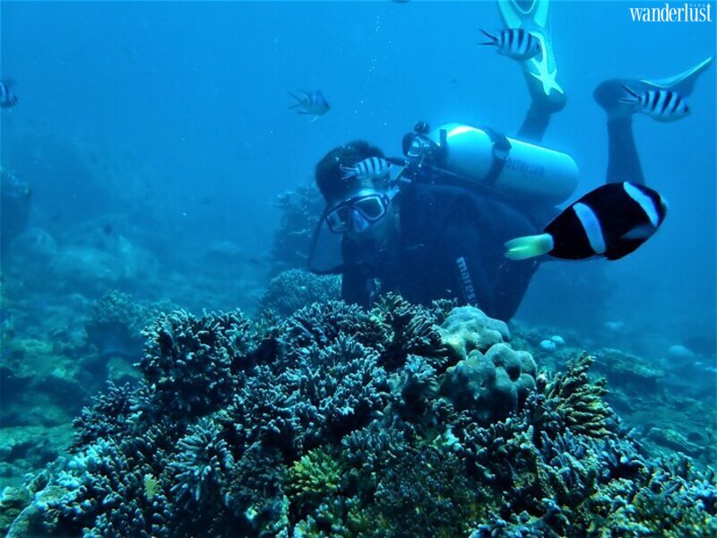 Hòn Tằm Nha Trang, vẻ đẹp lãng mạn giữa đại dương xanh | Wanderlust Tips 