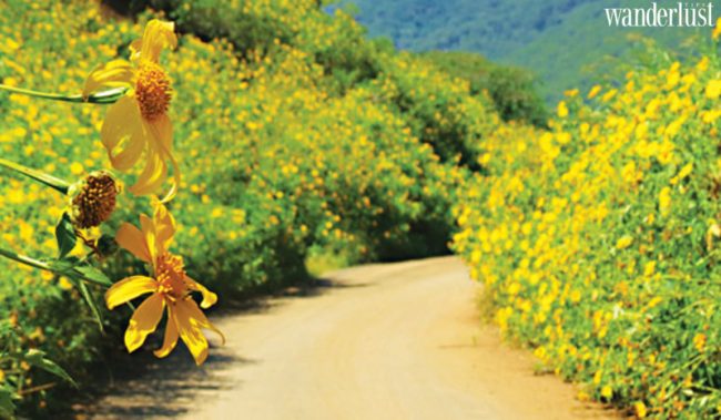 Lạc vào bức tranh cổ tích D’ran 15 Lac vao buc tranh co tich dran 16