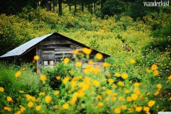 Lạc vào bức tranh cổ tích D’ran 16 Lac vao buc tranh co tich dran 18