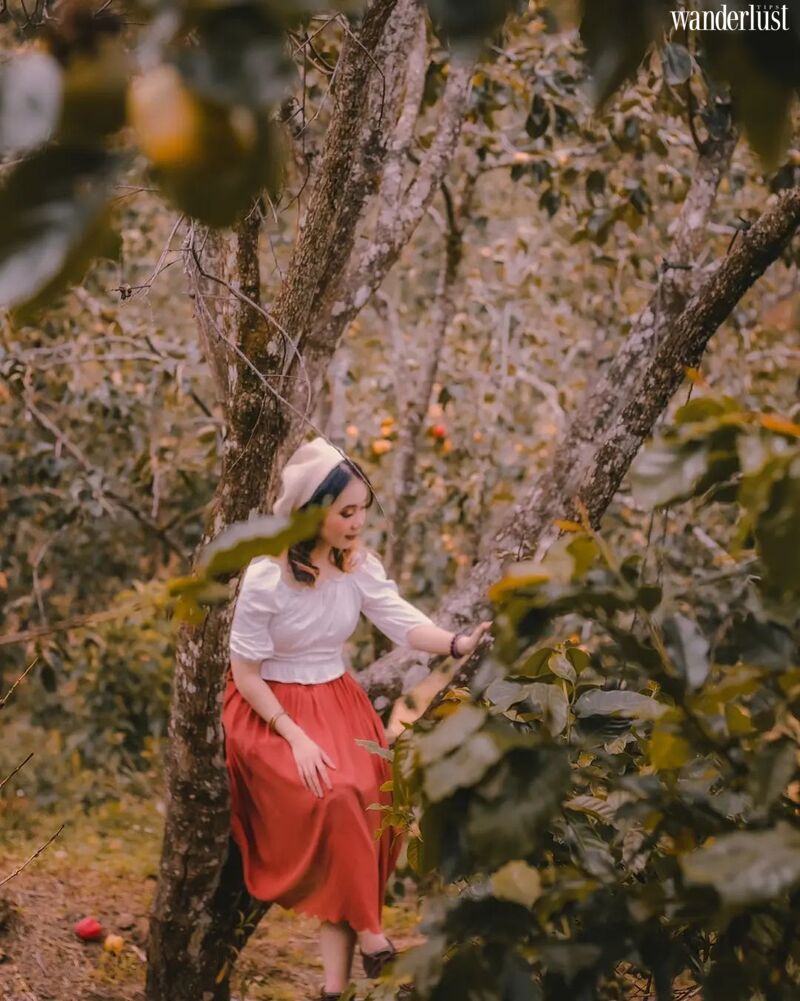 Lạc vào bức tranh cổ tích D’ran 17 Lạc vào bức tranh cổ tích D’ran | Wanderlust Tips