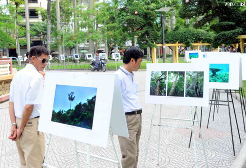 Lễ hội Hoa phượng đỏ trở lại đầy hứa hẹn sau 2 năm vắng bóng 14 Lễ hội Hoa phượng đỏ trở lại đầy hứa hẹn sau 2 năm vắng bóng | Wanderlust Tips