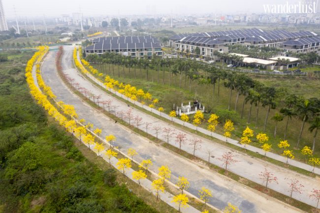 Say mê tháng ba Hà Nội 22 Say me thang 3 ha noi 11 1