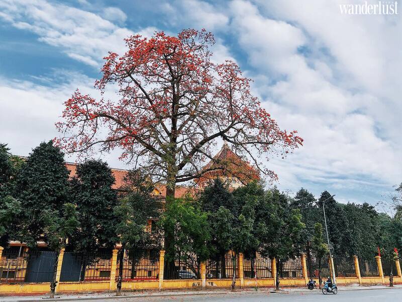 Say mê tháng ba Hà Nội 18 Say mê tháng 3 Hà Nội  | Wanderlust Tips