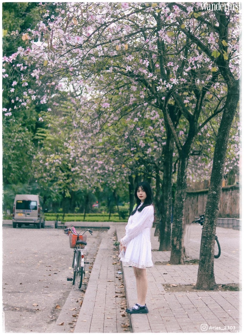 Say mê tháng ba Hà Nội 14 Say mê tháng 3 Hà Nội  | Wanderlust Tips