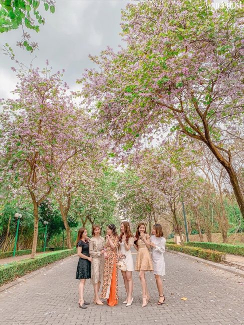 Say mê tháng ba Hà Nội 13 Say me thang 3 ha noi 28 1