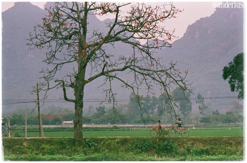 Say mê tháng ba Hà Nội 19 Say me thang 3 ha noi 3