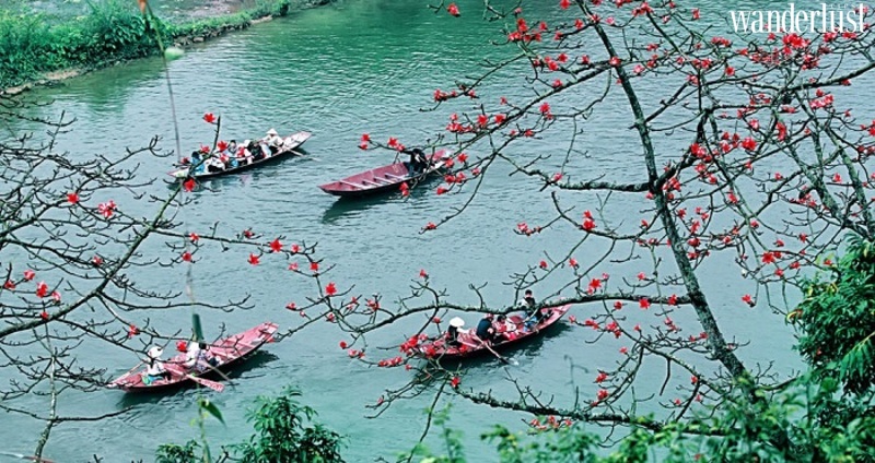 Say mê tháng ba Hà Nội 20 Say me thang 3 ha noi 31