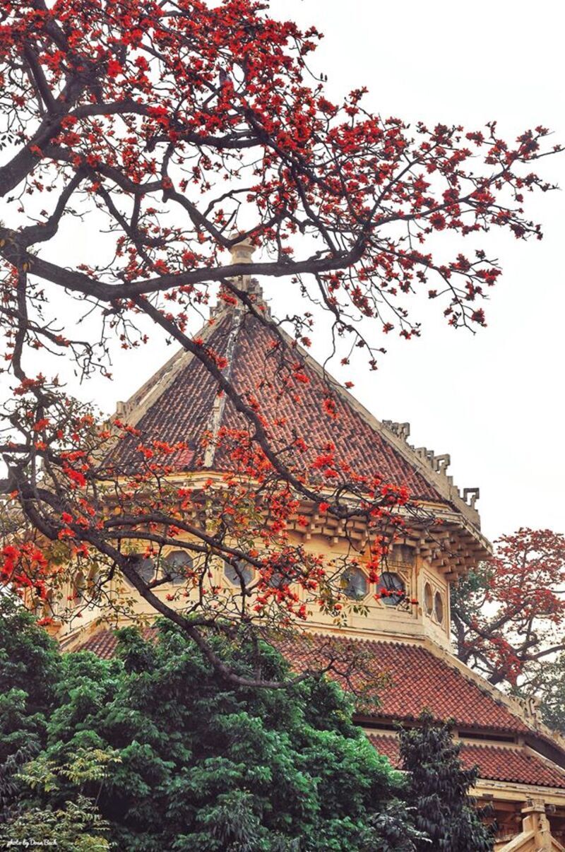 Say mê tháng ba Hà Nội 17 Say mê tháng 3 Hà Nội  | Wanderlust Tips