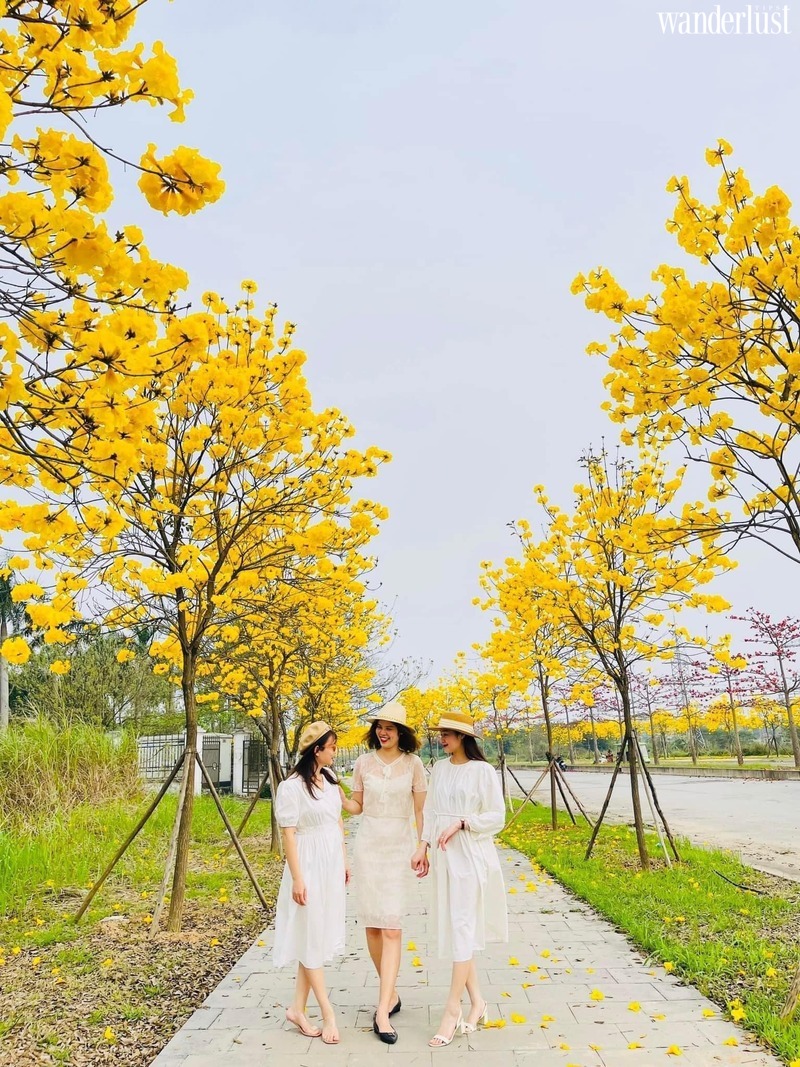 Say mê tháng ba Hà Nội 23 Say mê tháng 3 Hà Nội  | Wanderlust Tips