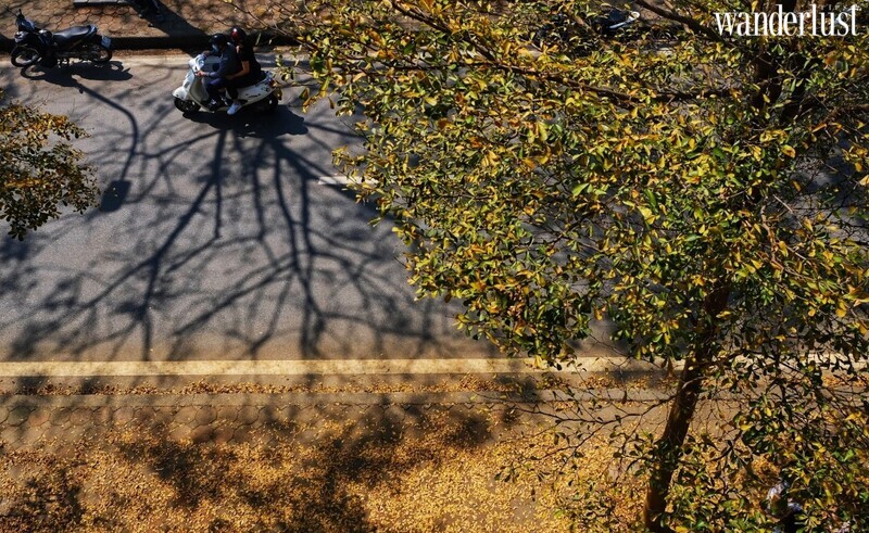 Say mê tháng ba Hà Nội 8 Say mê tháng 3 Hà Nội  | Wanderlust Tips