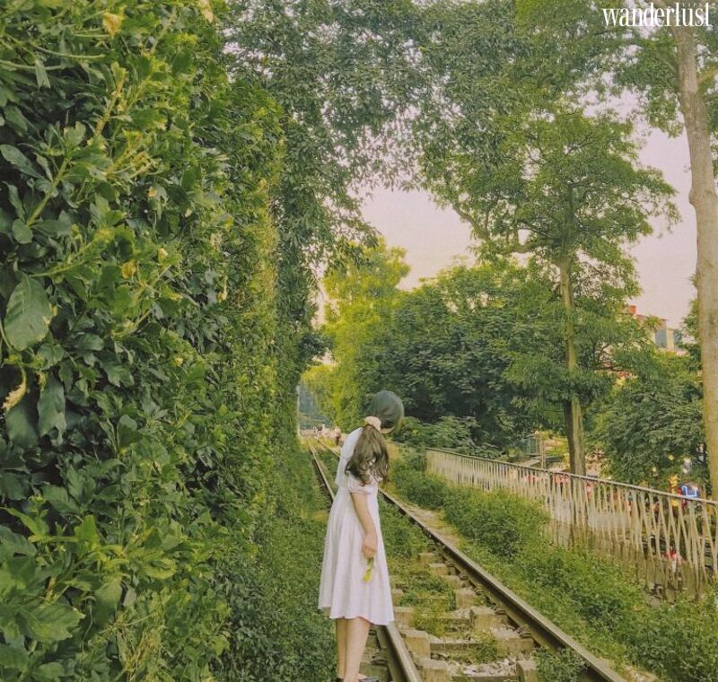 Thanh xuan khong the bo lo nhung cung duong tau dep nhat viet nam 1 1