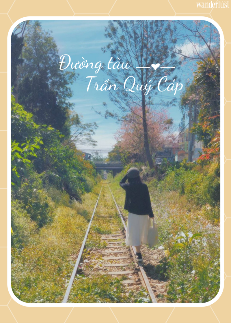 Thanh xuân không thể bỏ lỡ những cung đường tàu đẹp nhất Việt Nam 17 Thanh xuân không thể bỏ lỡ những cung đường tàu đẹp nhất Việt Nam | Wanderlust Tips