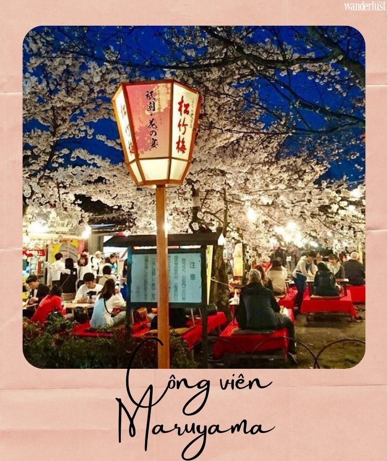 Đến Kyoto ngắm hoa anh đào tháng 4 nhất định đừng bỏ qua 10 địa điểm này 8 Đến Kyoto ngắm hoa anh đào tháng 4 nhất định đừng bỏ qua 10 địa điểm này | Wanderlust Tips