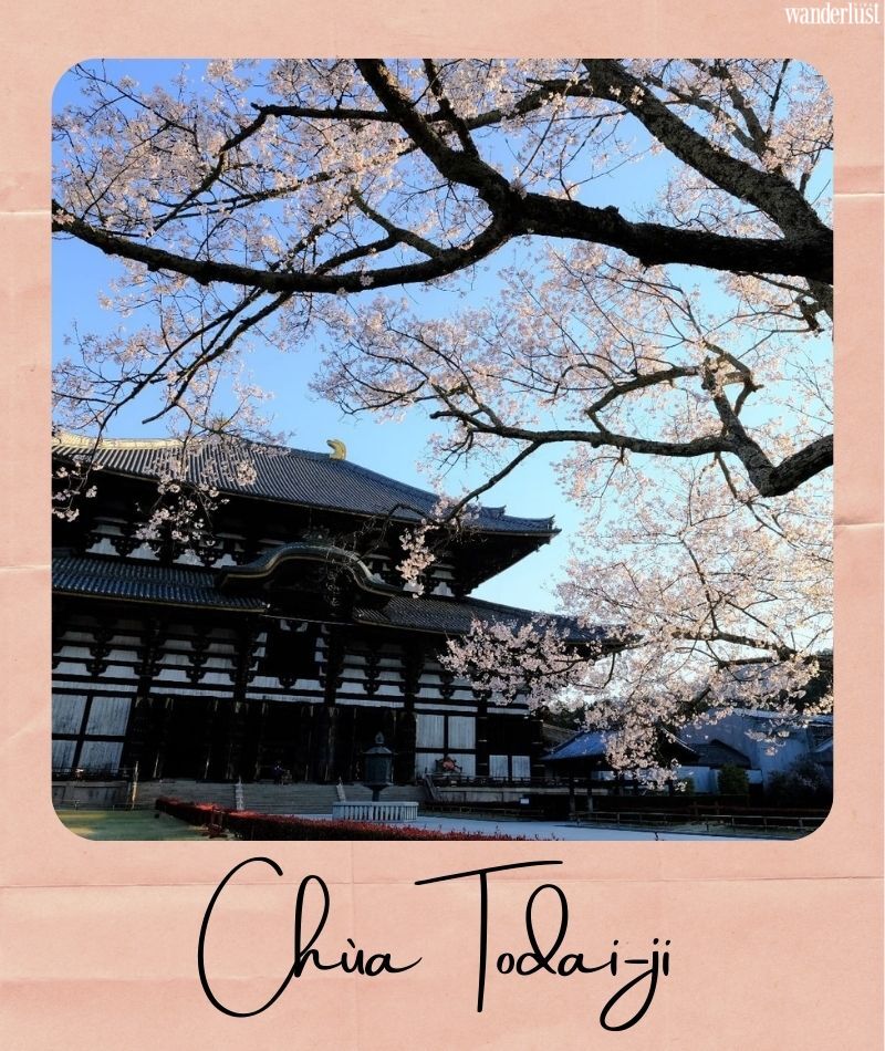 Đến Kyoto ngắm hoa anh đào tháng 4 nhất định đừng bỏ qua 10 địa điểm này 16 Đến Kyoto ngắm hoa anh đào tháng 4 nhất định đừng bỏ qua 10 địa điểm này | Wanderlust Tips