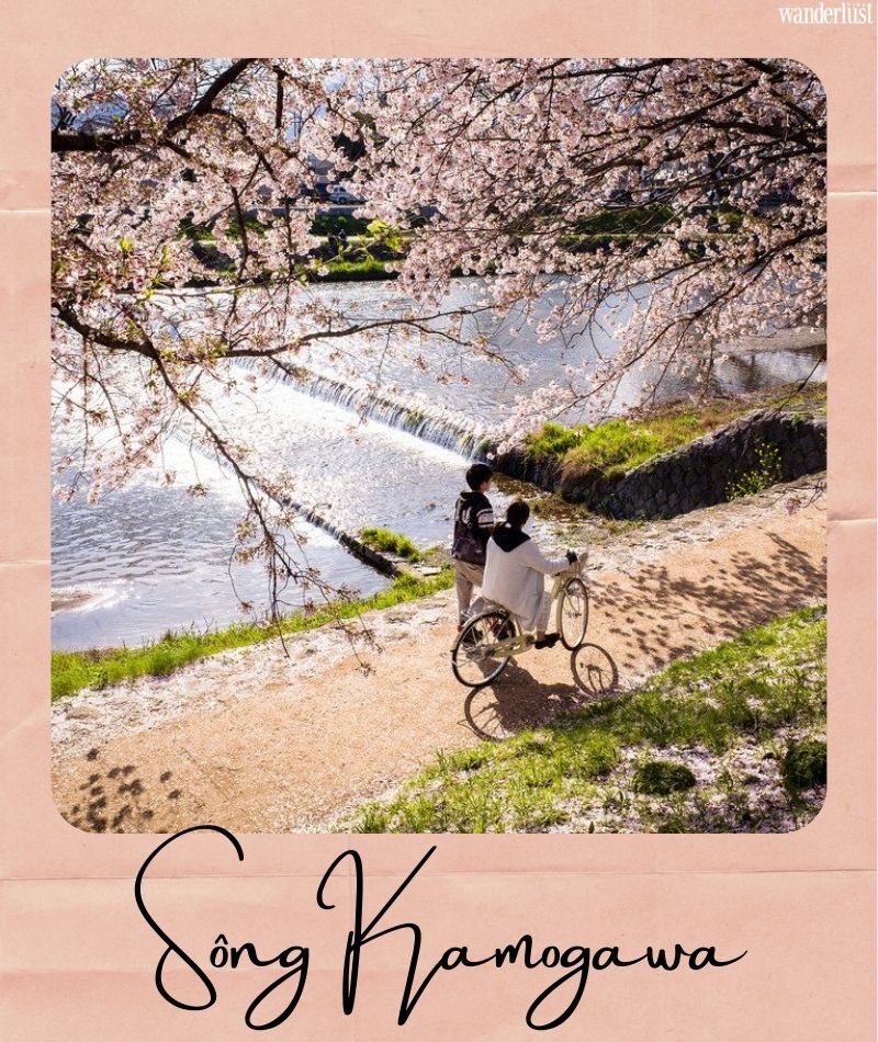 Đến Kyoto ngắm hoa anh đào tháng 4 nhất định đừng bỏ qua 10 địa điểm này 39 Đến Kyoto ngắm hoa anh đào tháng 4 nhất định đừng bỏ qua 10 địa điểm này | Wanderlust Tips