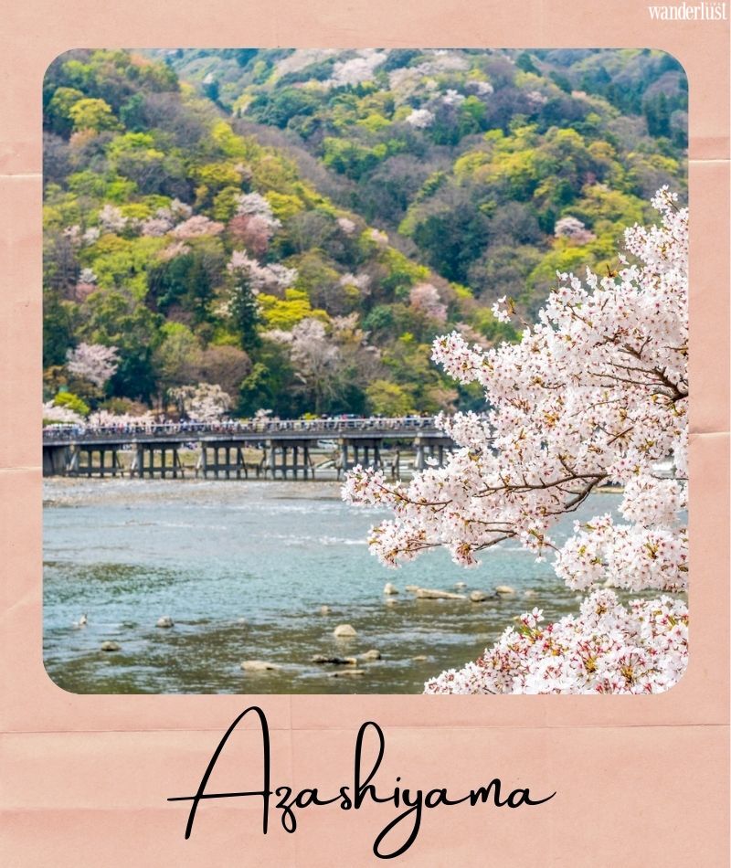 Đến Kyoto ngắm hoa anh đào tháng 4 nhất định đừng bỏ qua 10 địa điểm này 33 Đến Kyoto ngắm hoa anh đào tháng 4 nhất định đừng bỏ qua 10 địa điểm này | Wanderlust Tips