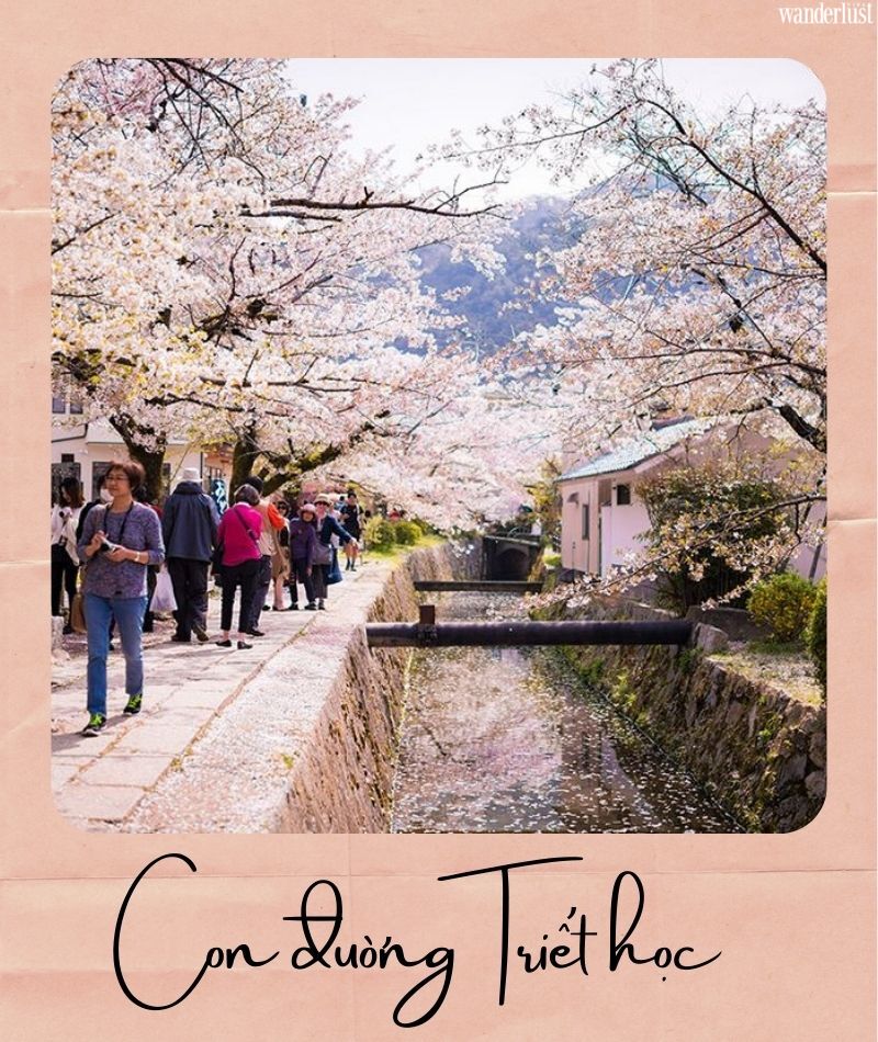 Đến Kyoto ngắm hoa anh đào tháng 4 nhất định đừng bỏ qua 10 địa điểm này 30 Đến Kyoto ngắm hoa anh đào tháng 4 nhất định đừng bỏ qua 10 địa điểm này | Wanderlust Tips