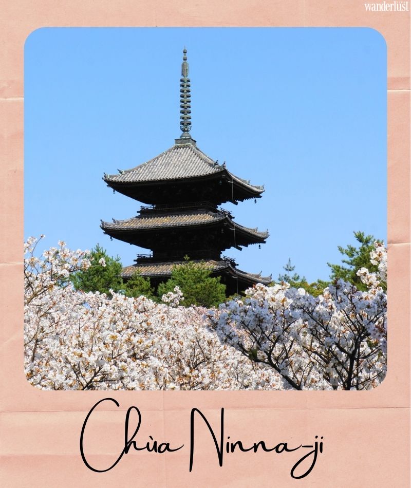Đến Kyoto ngắm hoa anh đào tháng 4 nhất định đừng bỏ qua 10 địa điểm này 19 Đến Kyoto ngắm hoa anh đào tháng 4 nhất định đừng bỏ qua 10 địa điểm này | Wanderlust Tips