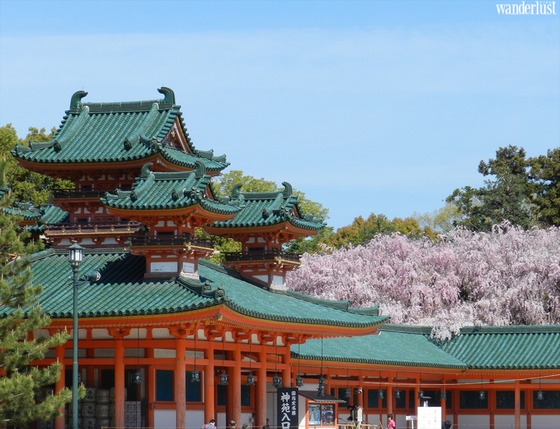 den kyoto ngam hoa anh dao thang 4 nhat dinh dung bo qua 10 dia diem nayk 3 1