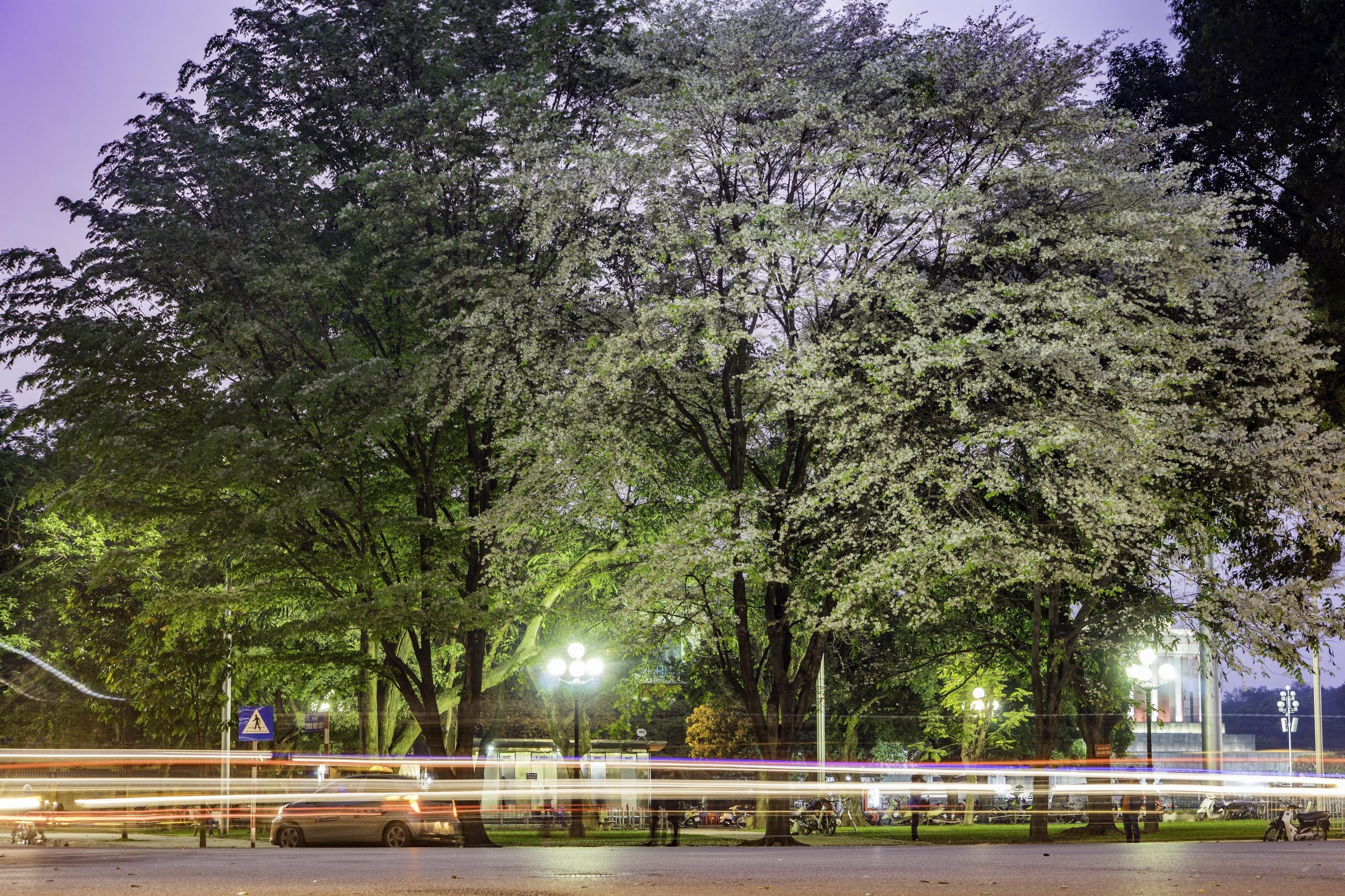 Say mê tháng ba Hà Nội 9 Say mê tháng 3 Hà Nội  | Wanderlust Tips