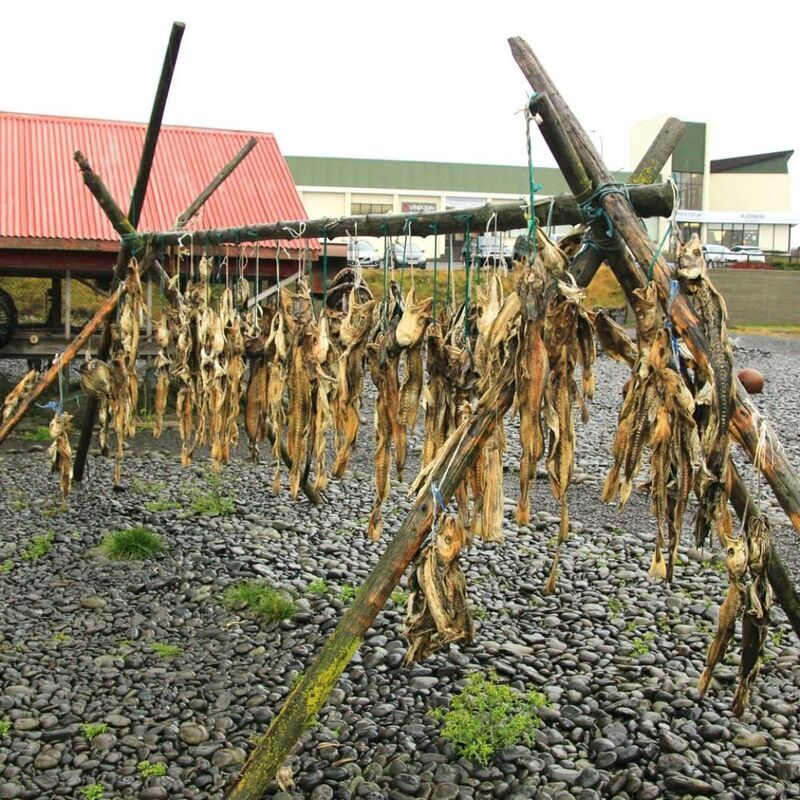 Khám phá 7 món ăn truyền thống lạ lẫm và độc đáo ở xứ sở Iceland 22 Khám phá 8 món ăn truyền thống kỳ quặc và độc đáo ở xứ sở Iceland | Wanderlust Tips