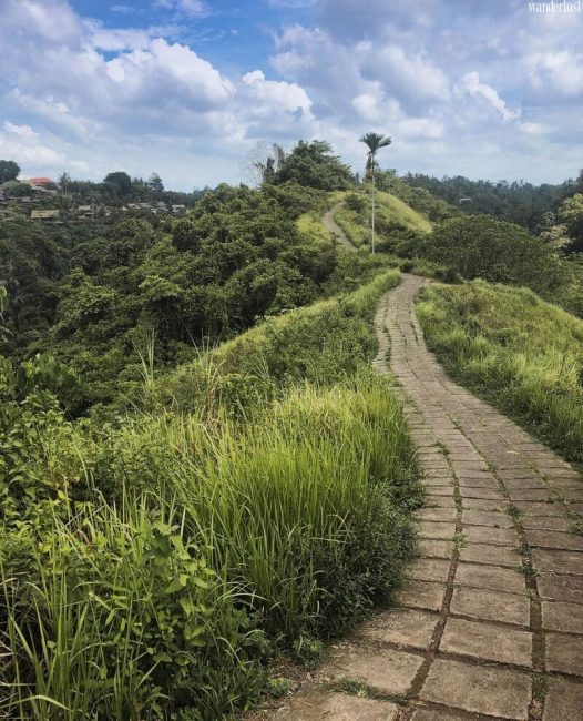 Khám phá Ubudkỳ thú qua hành trình với 9 trải nghiệm “độc nhất vô nhị” 33 kham pha Ubud bali ky thu qua hanh trinh voi 9 trai nghiem doc nhat vo nhi 29