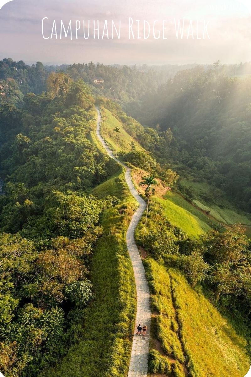 Khám phá Ubudkỳ thú qua hành trình với 9 trải nghiệm “độc nhất vô nhị” 31 Khám phá Ubud (Bali) kỳ thú qua hành trình với 9 trải nghiệm “độc nhất vô nhị” | Wanderlust Tips