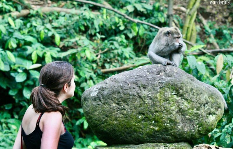 Khám phá Ubudkỳ thú qua hành trình với 9 trải nghiệm “độc nhất vô nhị” 7 Khám phá Ubud (Bali) kỳ thú qua hành trình với 9 trải nghiệm “độc nhất vô nhị” | Wanderlust Tips