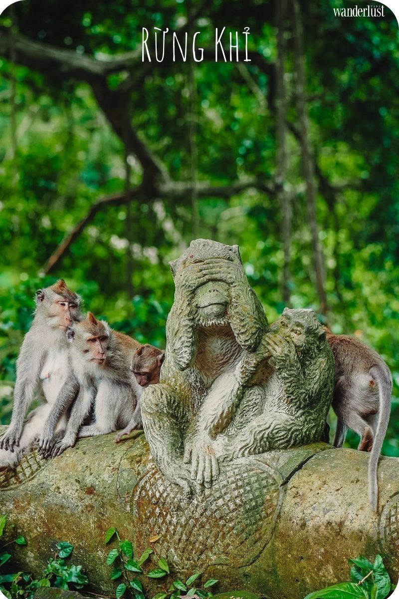 Khám phá Ubudkỳ thú qua hành trình với 9 trải nghiệm “độc nhất vô nhị” 6 Khám phá Ubud (Bali) kỳ thú qua hành trình với 9 trải nghiệm “độc nhất vô nhị” | Wanderlust Tips