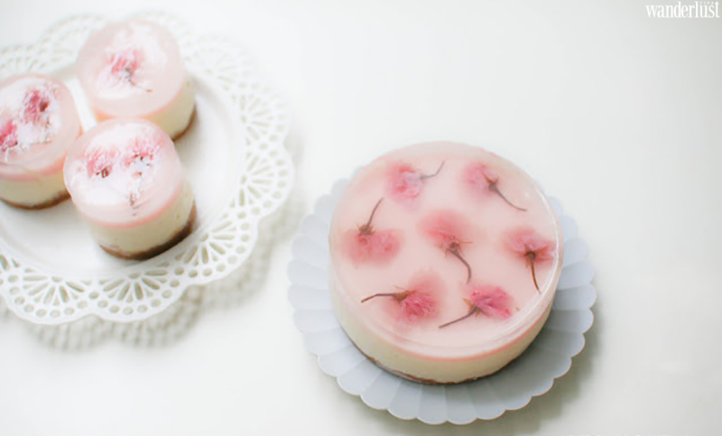 Những món đồ ngọt hấp dẫn từ hoa anh đào 20 nhung mon do ngot hap dan tu hoa anh dao thuc qua xuan cua xu phu tang 1