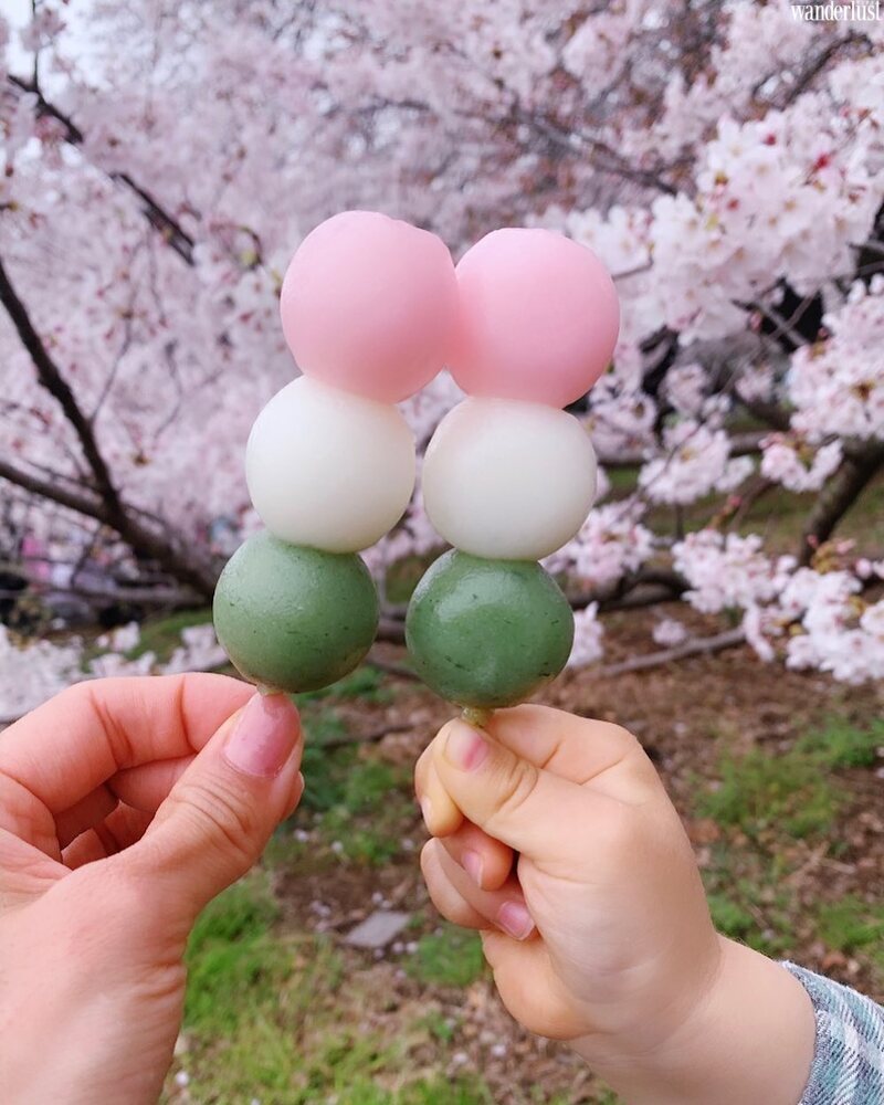 Những món đồ ngọt hấp dẫn từ hoa anh đào 9 nhung mon do ngot hap dan tu hoa anh dao thuc qua xuan cua xu phu tang 7