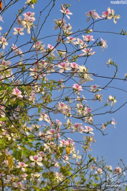 Những tọa độ check-in hot nhất của Hà Nội khúc giao mùa 18 nhung toa do check in hot nhat cua ha noi khuc giao mua 10