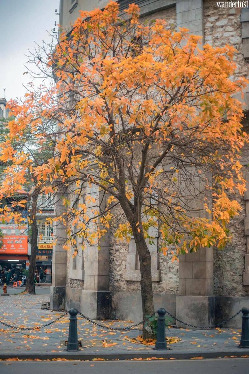 Những tọa độ check-in hot nhất của Hà Nội khúc giao mùa 13 nhung toa do check in hot nhat cua ha noi khuc giao mua 11