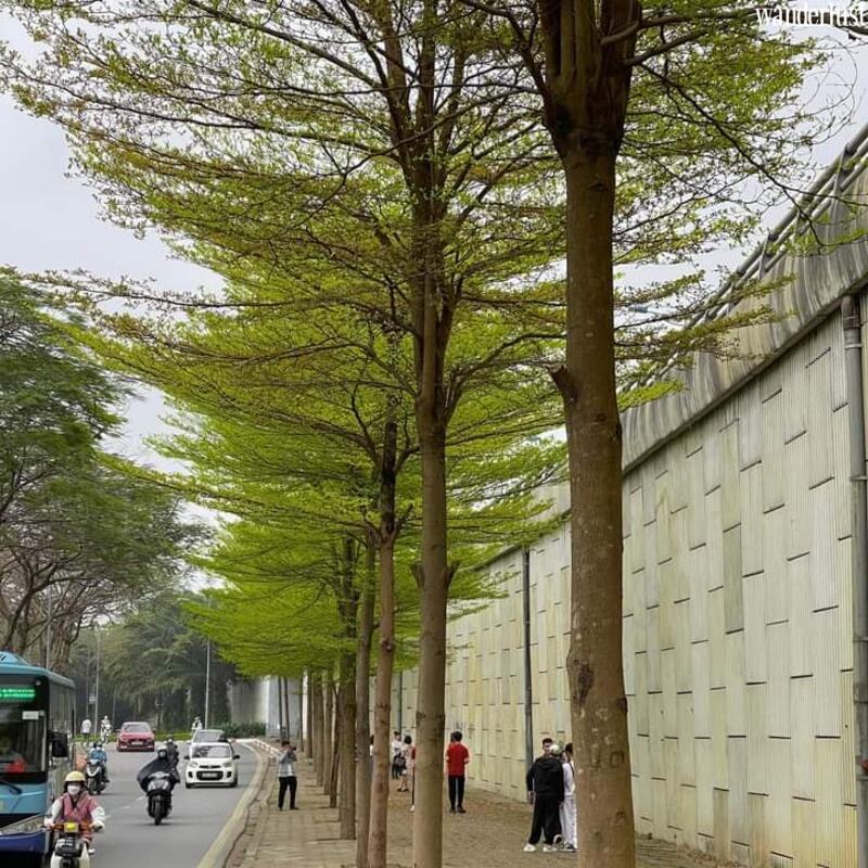 Những tọa độ check-in hot nhất của Hà Nội khúc giao mùa 10 nhung toa do check in hot nhat cua ha noi khuc giao mua 16