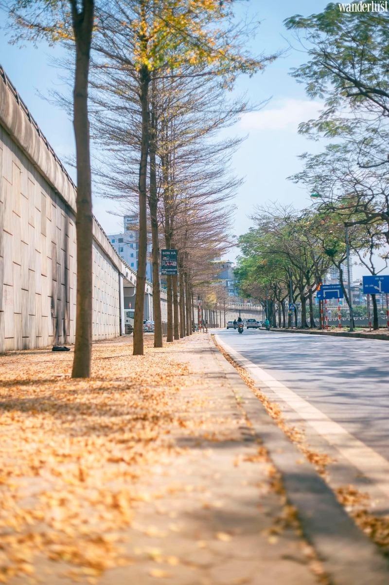 Những tọa độ check-in hot nhất của Hà Nội khúc giao mùa 8 nhung toa do check in hot nhat cua ha noi khuc giao mua 17