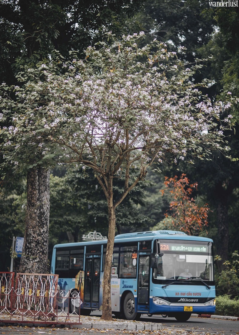 Những tọa độ check-in hot nhất của Hà Nội khúc giao mùa 17 nhung toa do check in hot nhat cua ha noi khuc giao mua 2 1