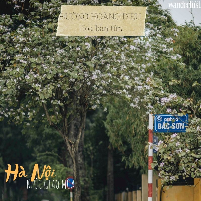 Những tọa độ check-in hot nhất của Hà Nội khúc giao mùa 16 Những tọa độ check-in hot nhất của Hà Nội trong khúc giao mùa | Wanderlust Tips