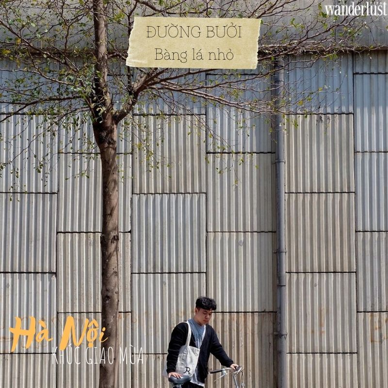 Những tọa độ check-in hot nhất của Hà Nội khúc giao mùa 6 Những tọa độ check-in hot nhất của Hà Nội trong khúc giao mùa | Wanderlust Tips