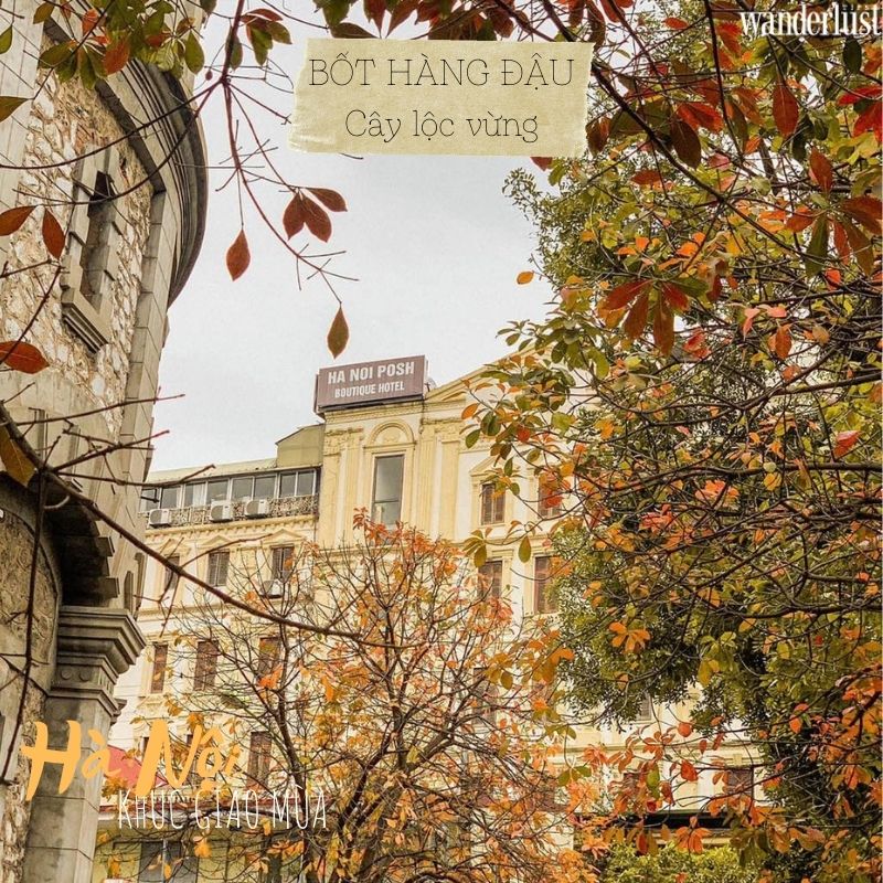 Những tọa độ check-in hot nhất của Hà Nội khúc giao mùa 11 Những tọa độ check-in hot nhất của Hà Nội trong khúc giao mùa | Wanderlust Tips