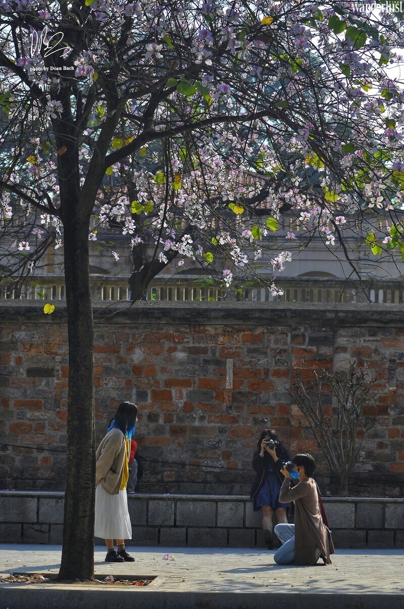 Những tọa độ check-in hot nhất của Hà Nội khúc giao mùa 19 nhung toa do check in hot nhat cua ha noi khuc giao mua 8