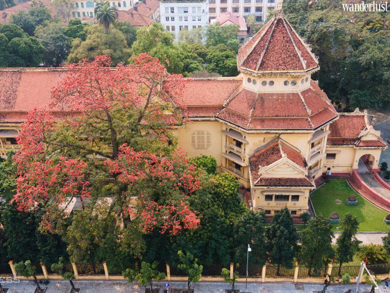 Tour Bác Cổ - Mùa hoa gạo - Độc đáo trải nghiệm “làng trong phố” giữa Thủ đô | Wanderlust Tips