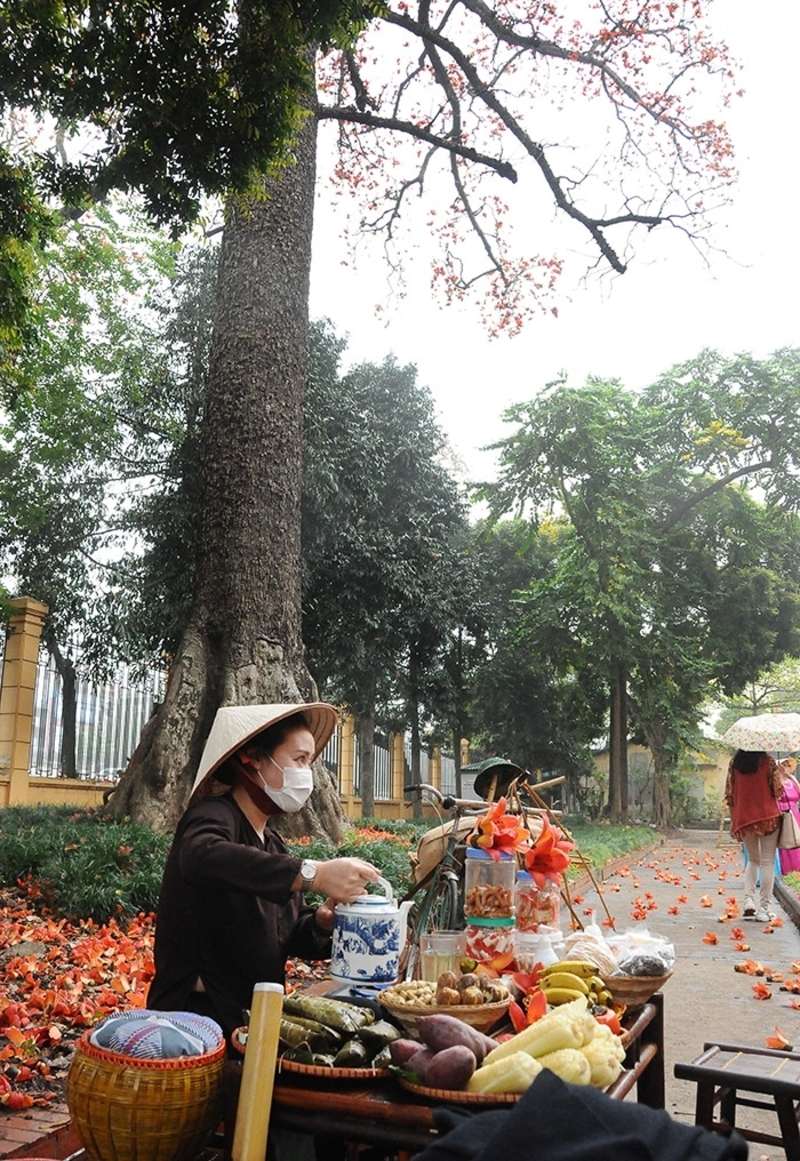 Tour “Bác Cổ - Mùa hoa gạo” - Độc đáo trải nghiệm “làng trong phố” giữa Thủ đô | Wanderlust Tips