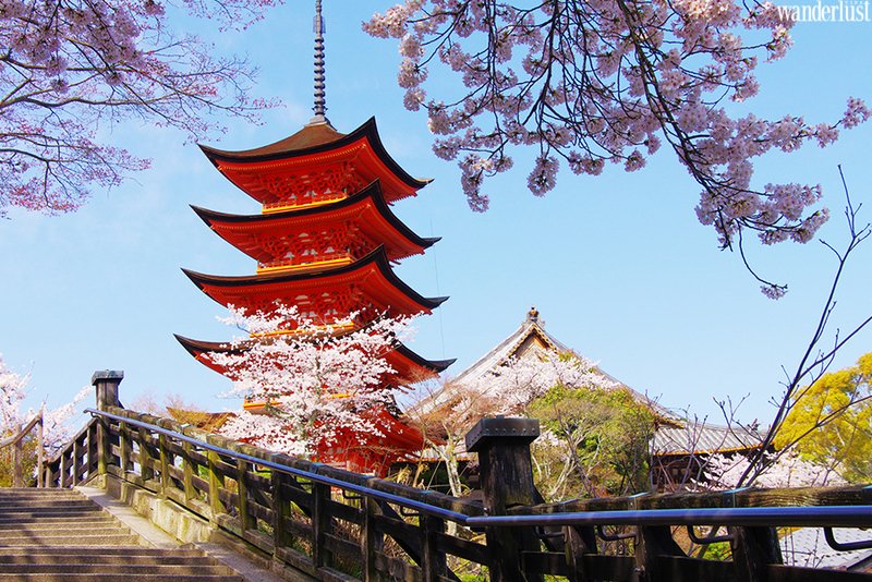 10 nghi lễ cần biết khi đến viếng thăm đền ở Nhật Bản | Wanderlust Tips