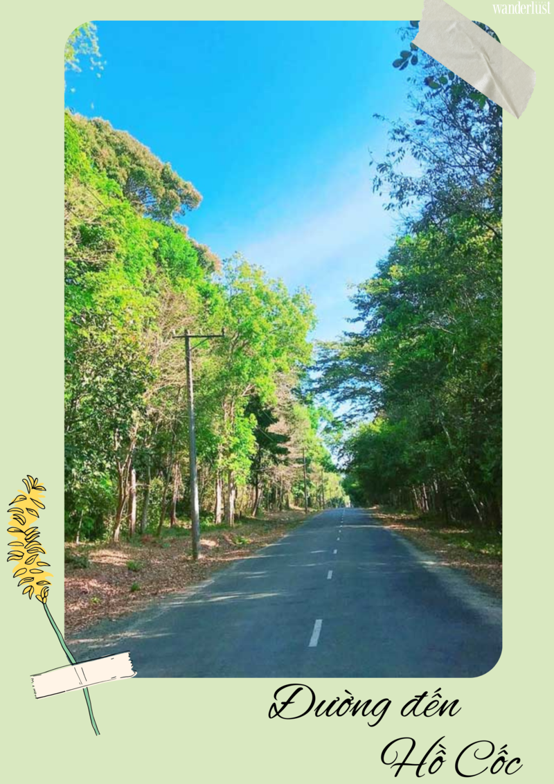 Hồ Cốc, thiên đường sống ảo giữa lòng Vũng Tàu 6 Hồ Cốc, thiên đường sống ảo giữa lòng Vũng Tàu | Wanderlust Tips