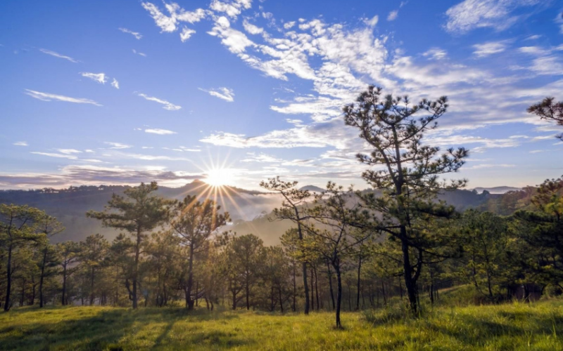 Lạc vào bức tranh cổ tích D’ran | Wanderlust Tips