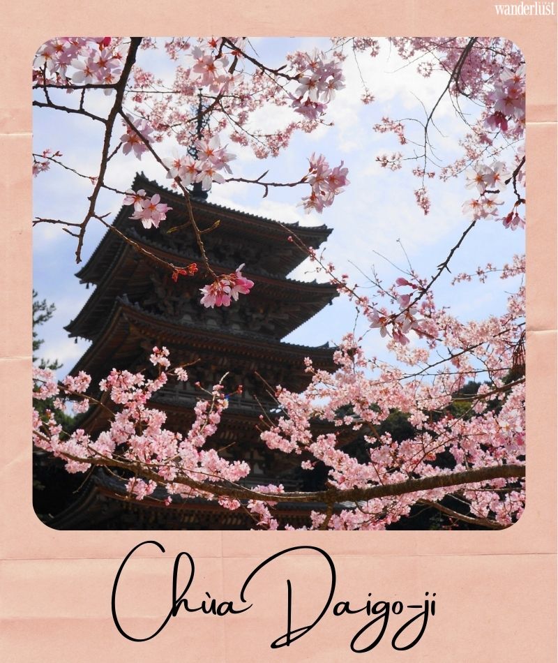 Đến Kyoto ngắm hoa anh đào tháng 4 nhất định đừng bỏ qua 10 địa điểm này | Wanderlust Tips
