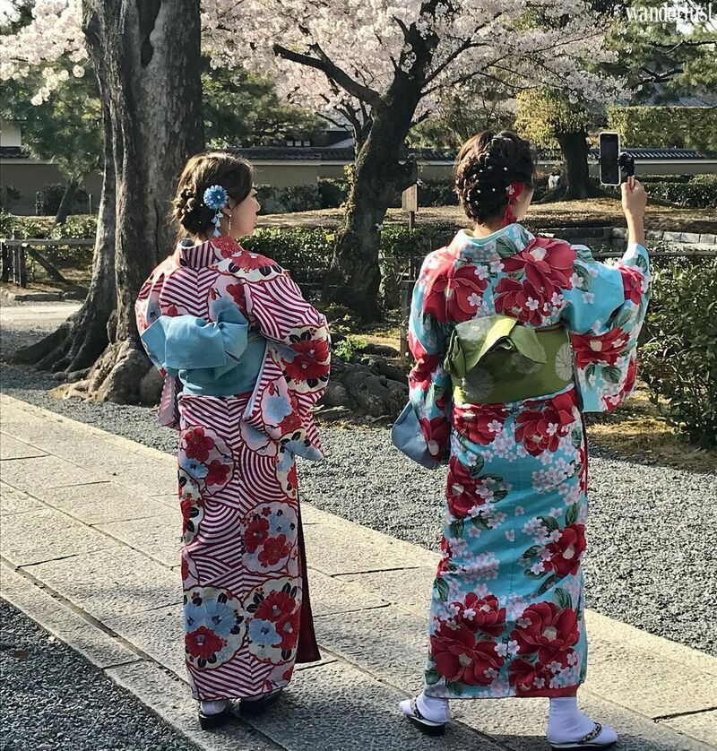 den kyoto ngam hoa anh dao thang 4 nhat dinh dung bo qua 10 dia diem nay1